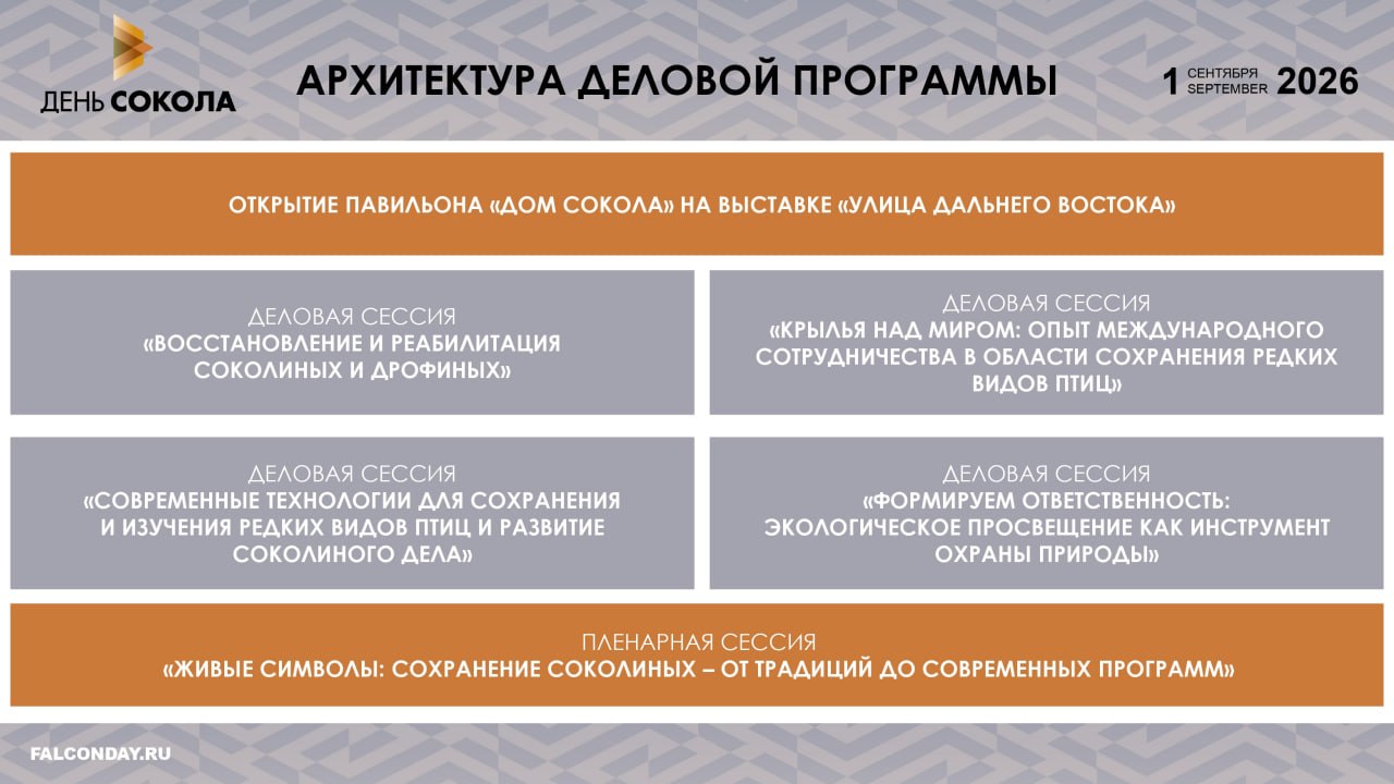 Программа "Дня Сокола"