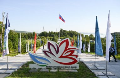 Зону сети 5G развернули на площадках ВЭФ-2026 во Владивостоке