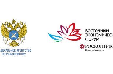 &laquo;Рыбный дом&raquo; откроется на острове Русский в дни ВЭФ-2026 во Владивостоке