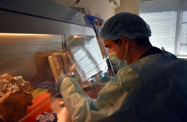 Белорусский исследователь инактивации клеток стажируется во Владивостоке
