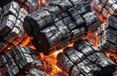 Вьетнамцы намерены запустить в Приморье производство древесного угля