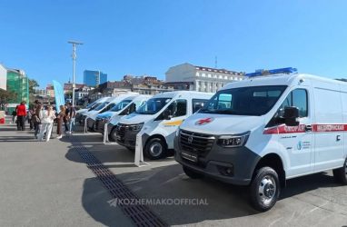 Предприятие группы ГАЗ могут открыть в Приморье
