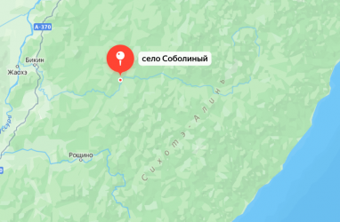 Под тяжестью лесовоза в Приморье обрушился технологический мост